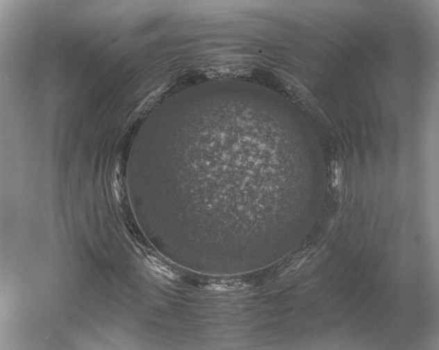 X0000061140915200511181203