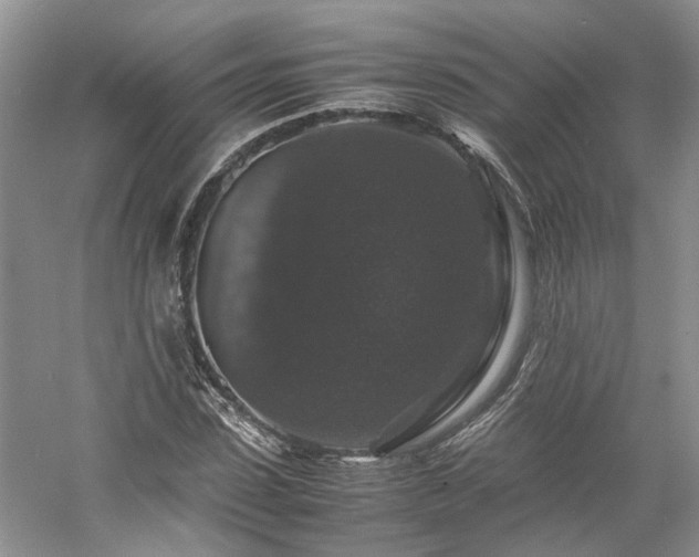 X0000061140923200511181204