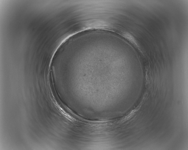 X0000061140924200511181204