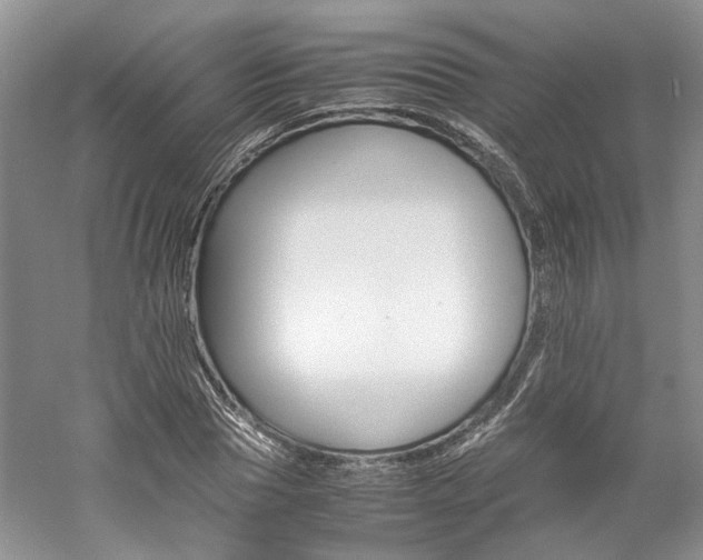 X0000061140929200511181204