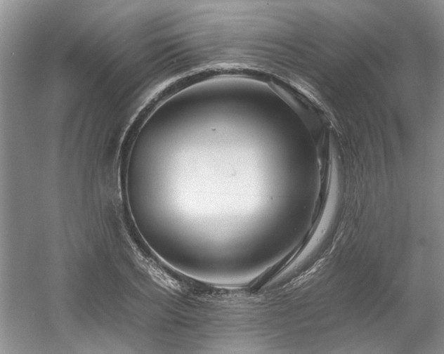 X0000061140934200511181204