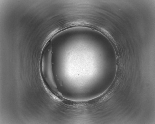 X0000061140946200511181204