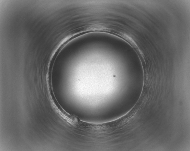 X0000061140947200511181204