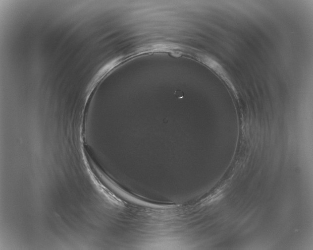 X0000061140954200511181204