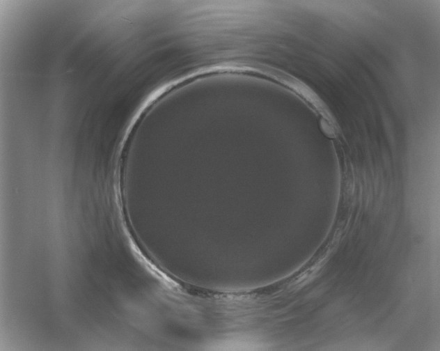 X0000061140958200511181204