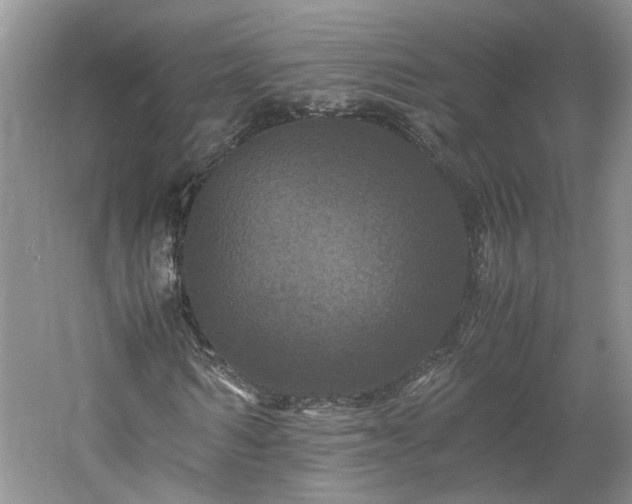 X0000061140962200511181203