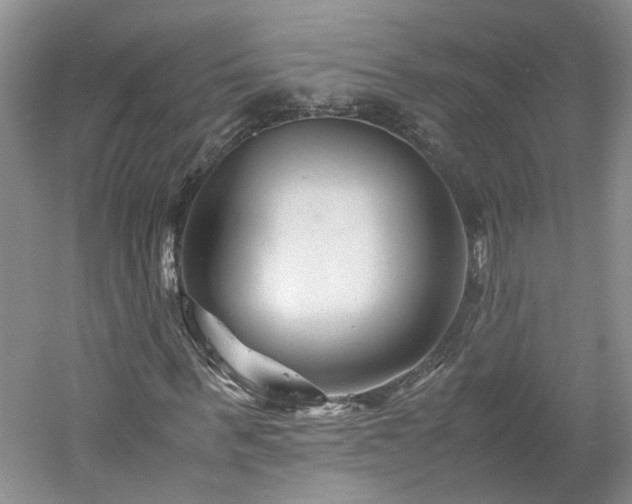 X0000061140963200511181203