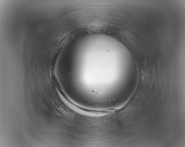X0000061140964200511181203