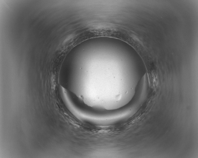 X0000061140965200511181203