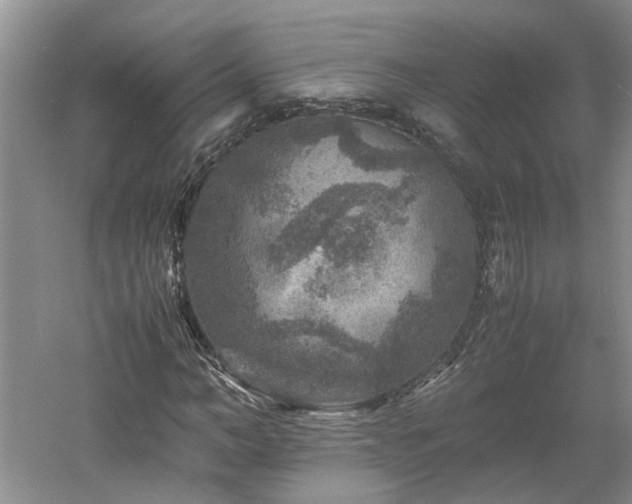 X0000061140966200511181203