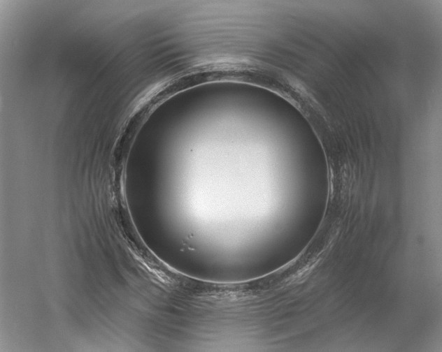 X0000061140970200511181203