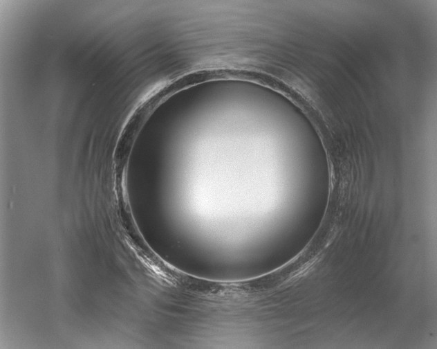 X0000061140974200511181203