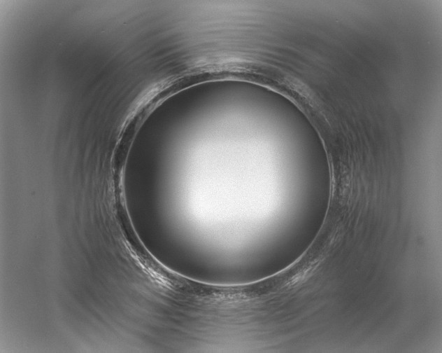 X0000061140978200511181203