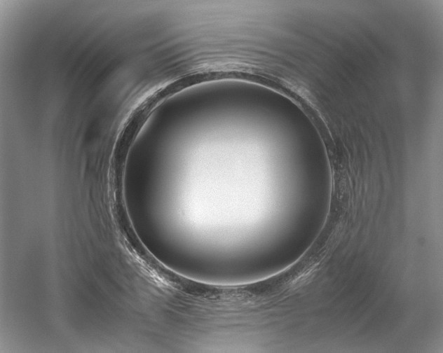 X0000061140979200511181203