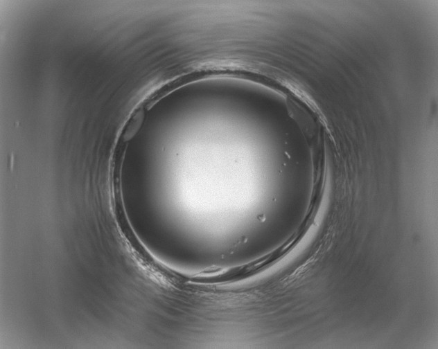 X0000061140984200511181203