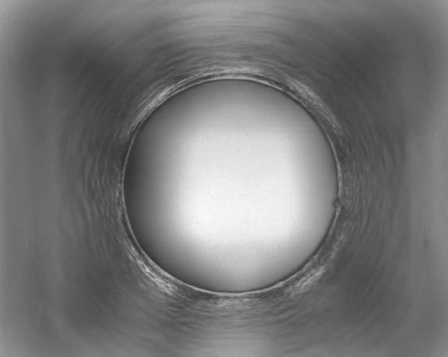 X0000061140985200511181203