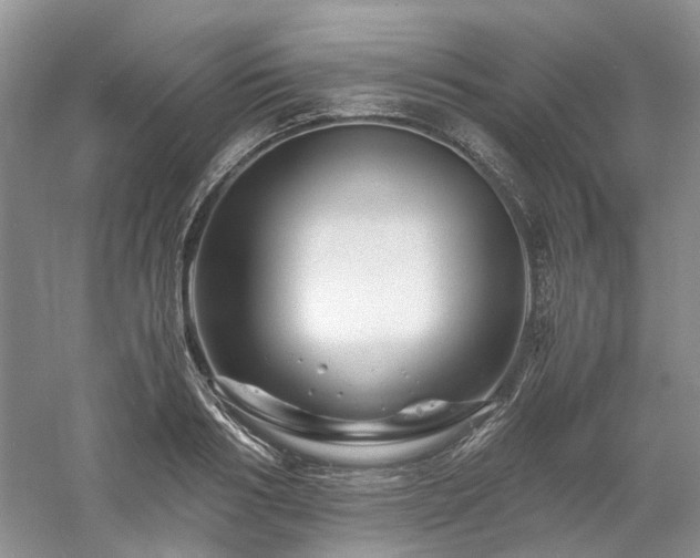 X0000061140986200511181203