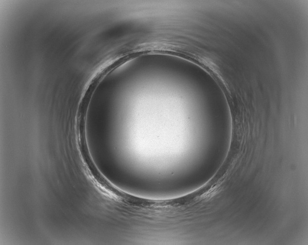 X0000061140987200511181203