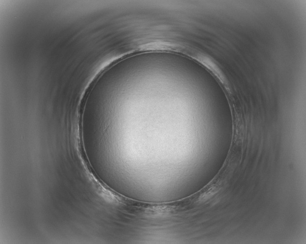 X0000061141000200511181203