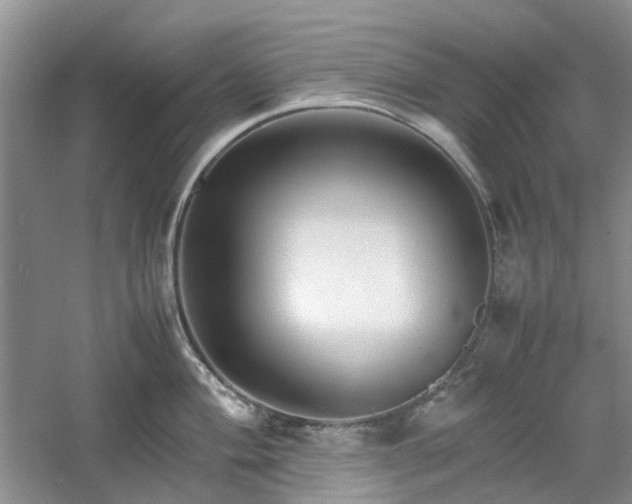 X0000061141004200511181203