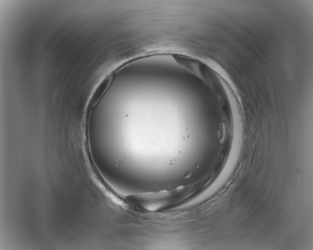 X0000061141005200511181203