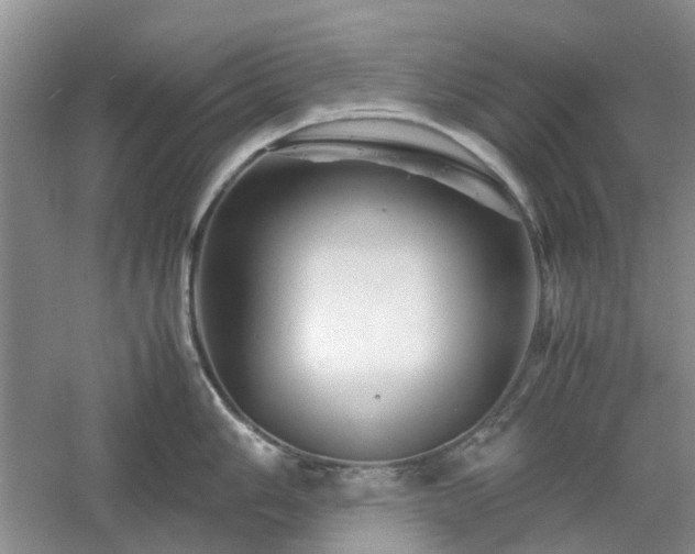 X0000061141006200511181203