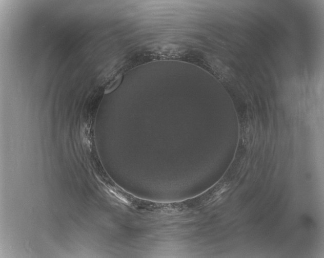 X0000061141010200511181202