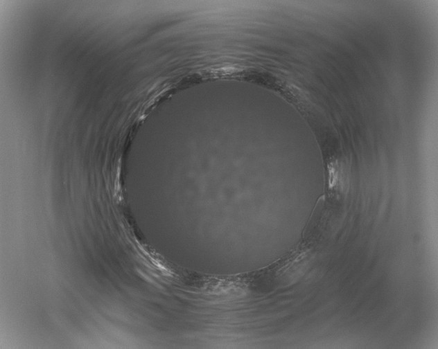 X0000061141011200511181202