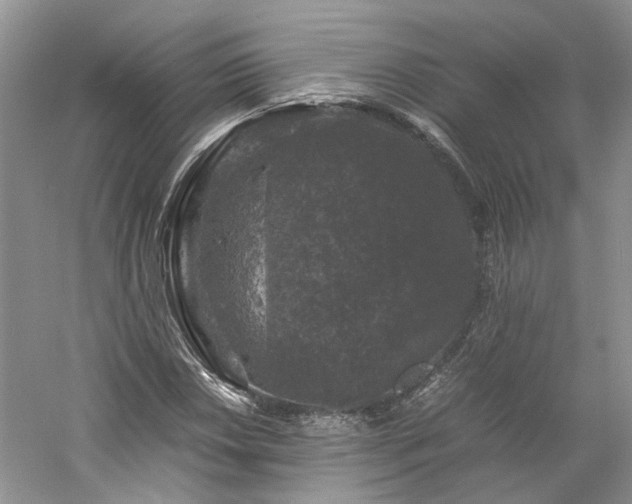X0000061141018200511181202