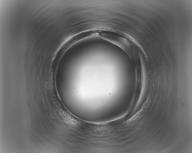 X0000061141021200511181202
