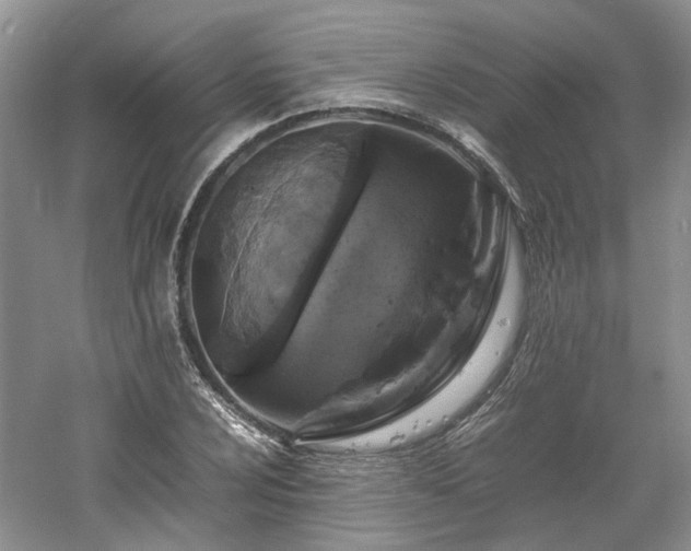 X0000061141024200511181202