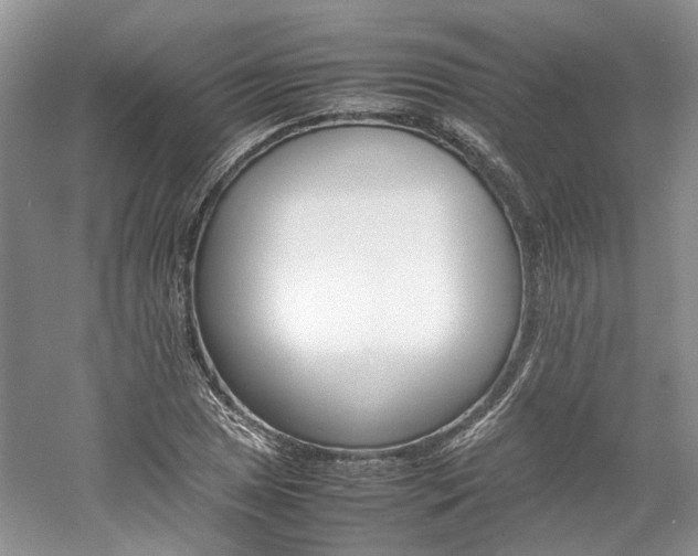 X0000061141025200511181202