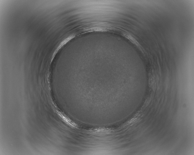 X0000061141026200511181202