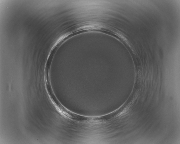 X0000061141034200511181202