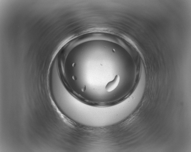 X0000061141050200511181202