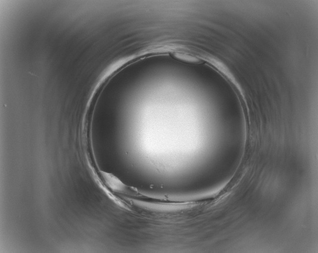 X0000061141053200511181203