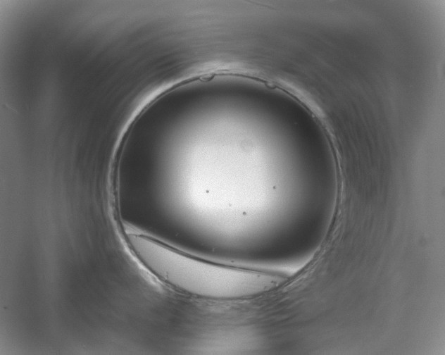 X0000061141056200511181203