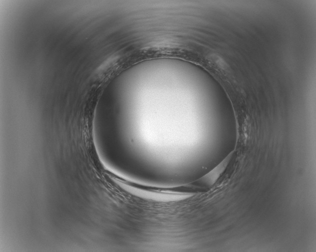 X0000061141062200511181202