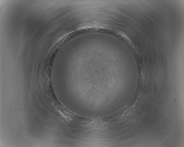 X0000061141064200511181202