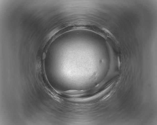 X0000061141065200511181202