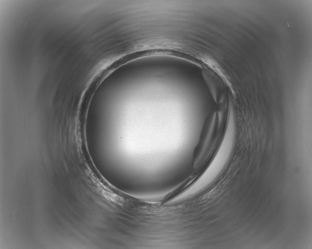 X0000061141072200511181201