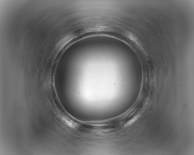 X0000061141073200511181201