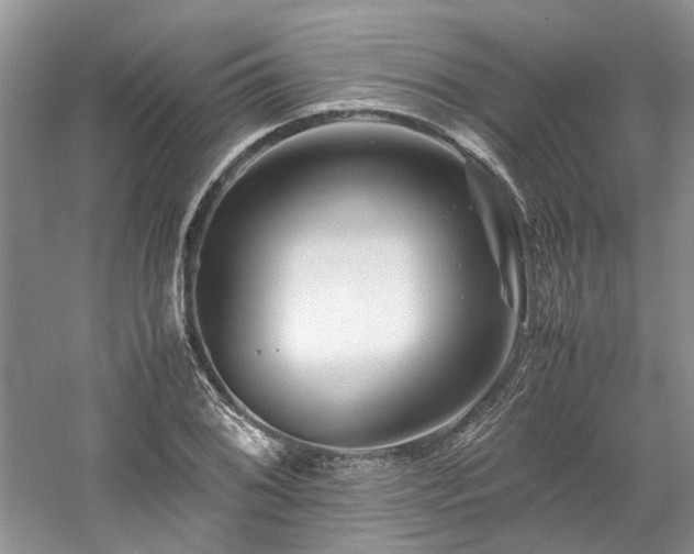 X0000061141076200511181201