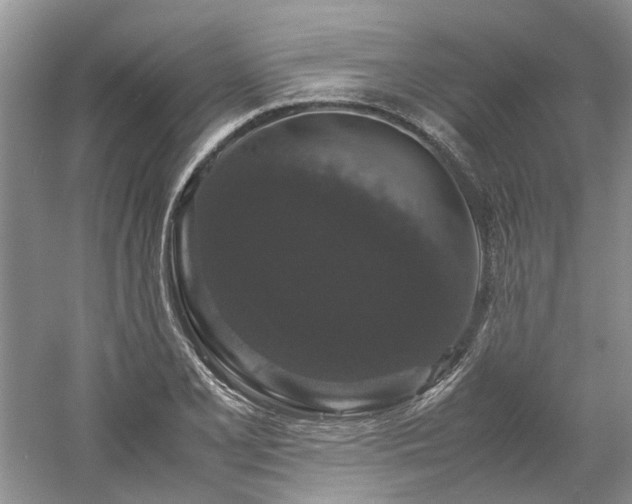 X0000061141077200511181201