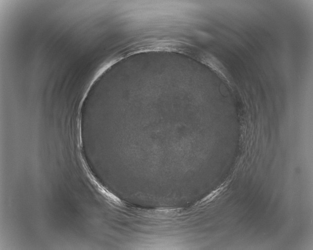 X0000061141079200511181201
