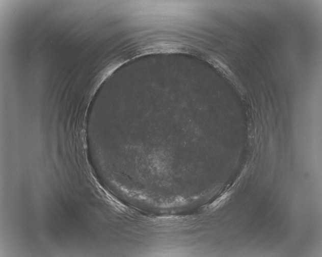 X0000061141081200511181201