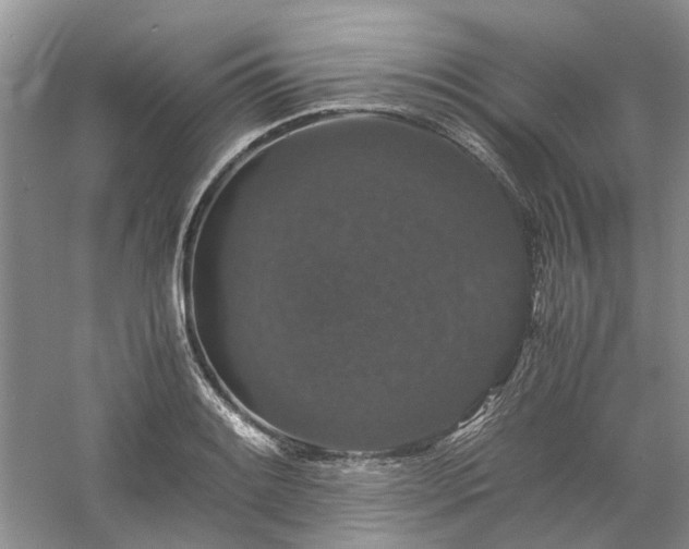 X0000061141084200511181201