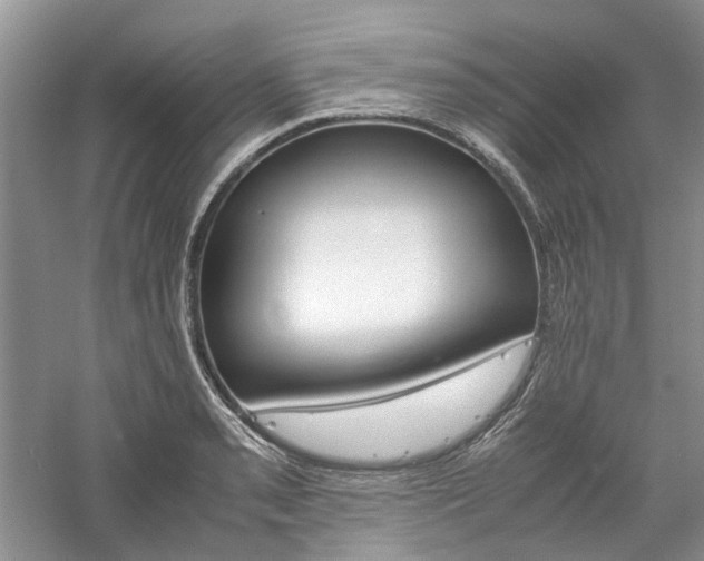 X0000061141085200511181201