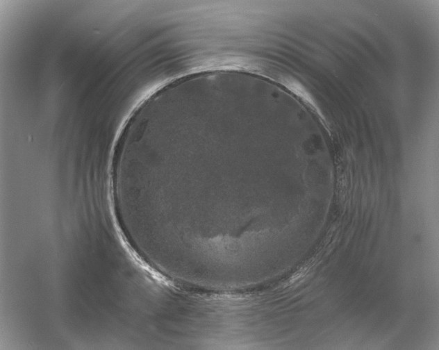 X0000061141088200511181201