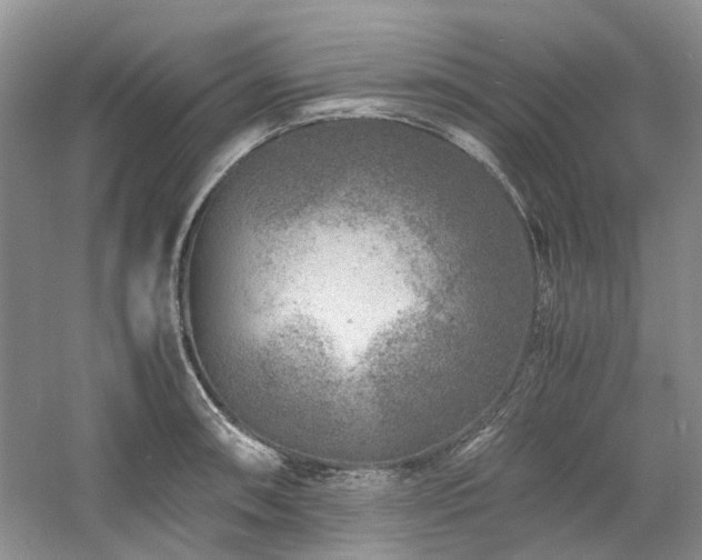 X0000061141090200511181201